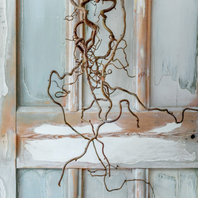 twigtwine